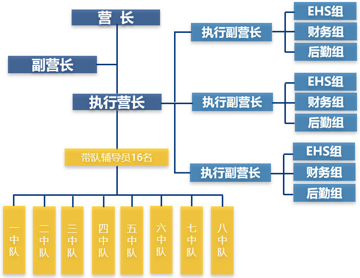 管理架构