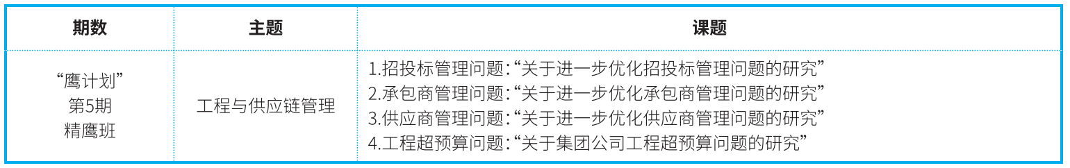 行动学习课题示例