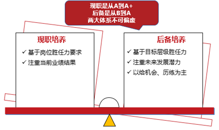 干部培养的两大体系：现职+后备