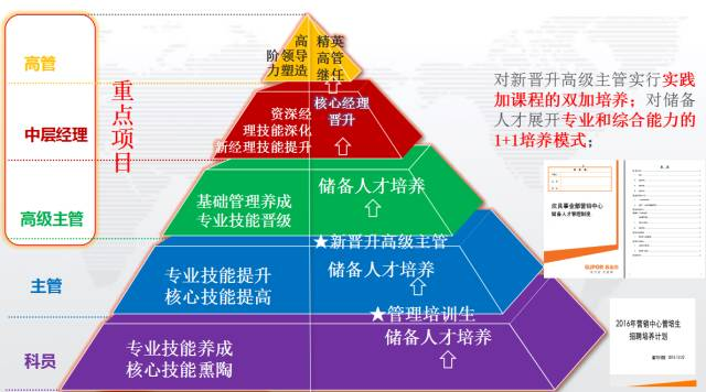 营销中心分层分类培养体系