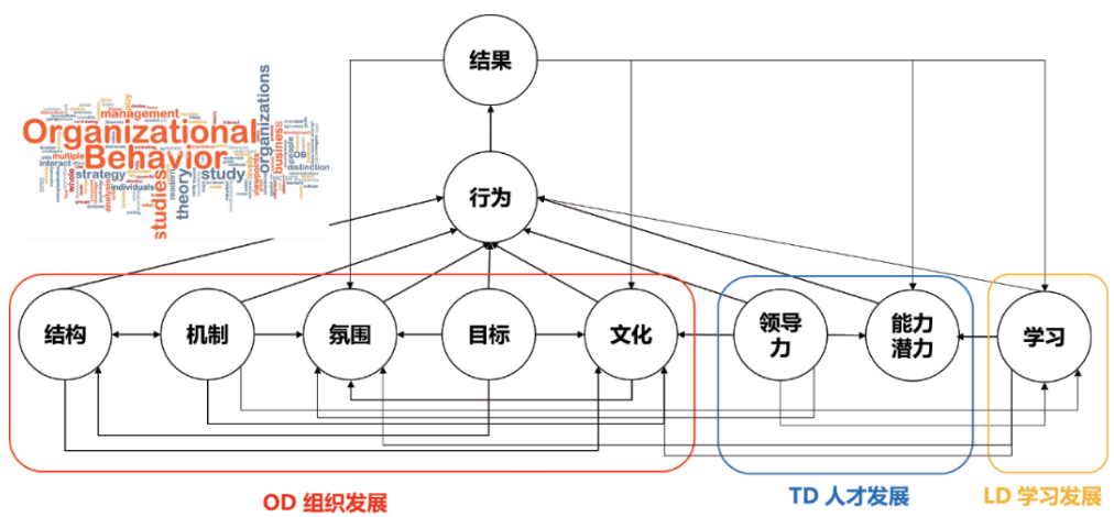 行为视角下的人力资源一体化系统