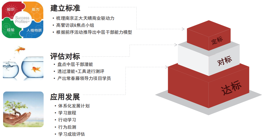 定标、对标、达标发展路线