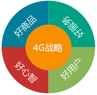 4G战略构成要素 4G战略构成要素
