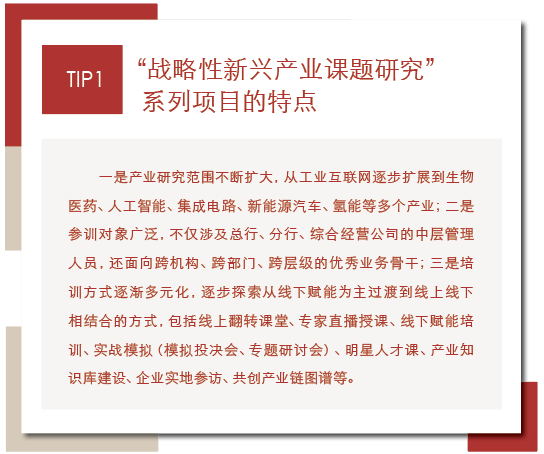 “战略性新兴产业课题研究”系列项目特点