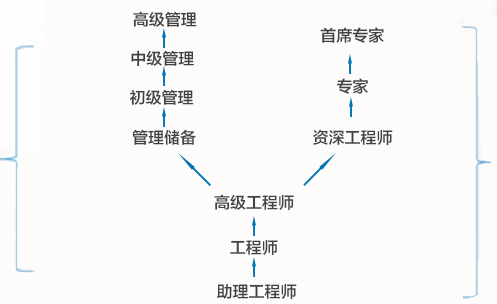工程师人才培养路径示例